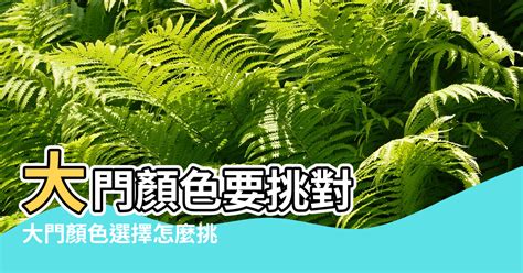 黑色大門風水|【風水特輯】大門顏色選擇怎麼挑？看這篇找到你的開。